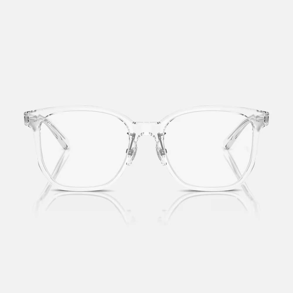 Ray-Ban RX5425D 2001 54-19