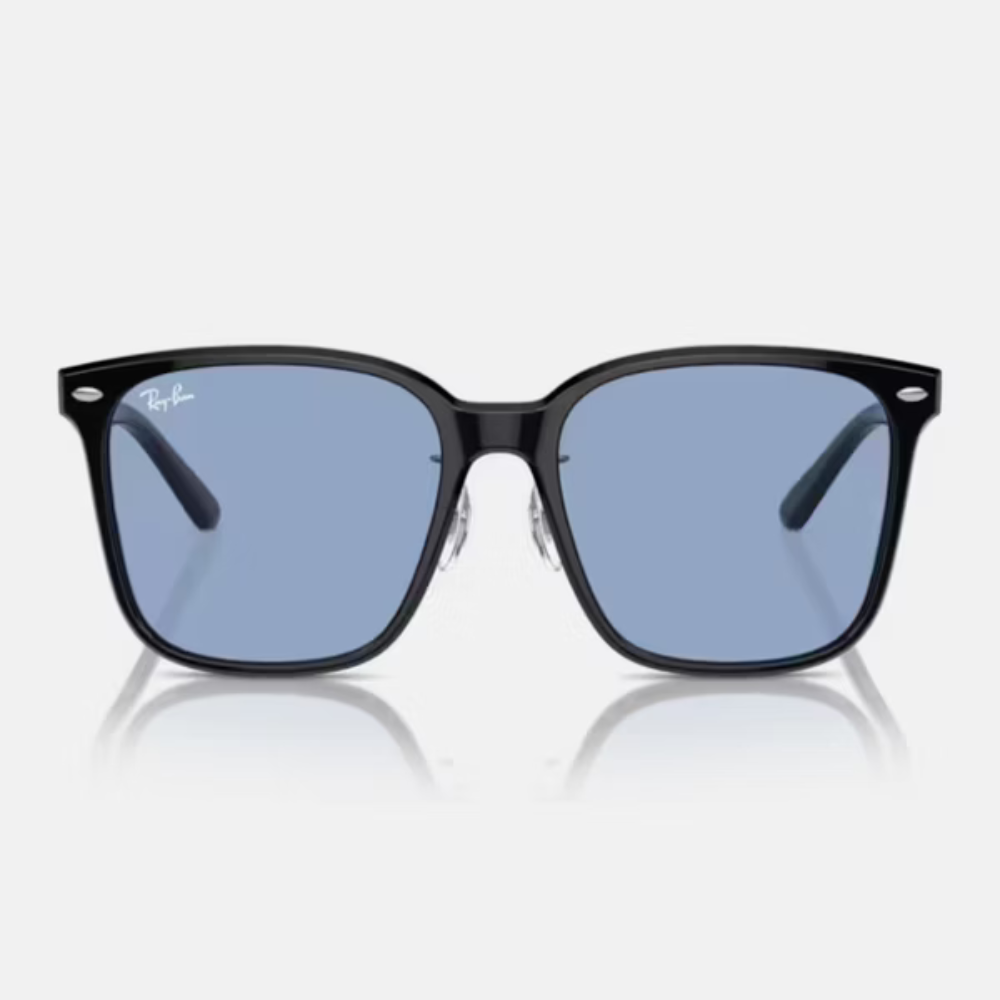 Ray-Ban RB2206D