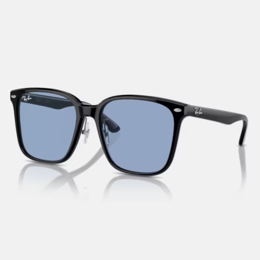 Ray-Ban RB2206D