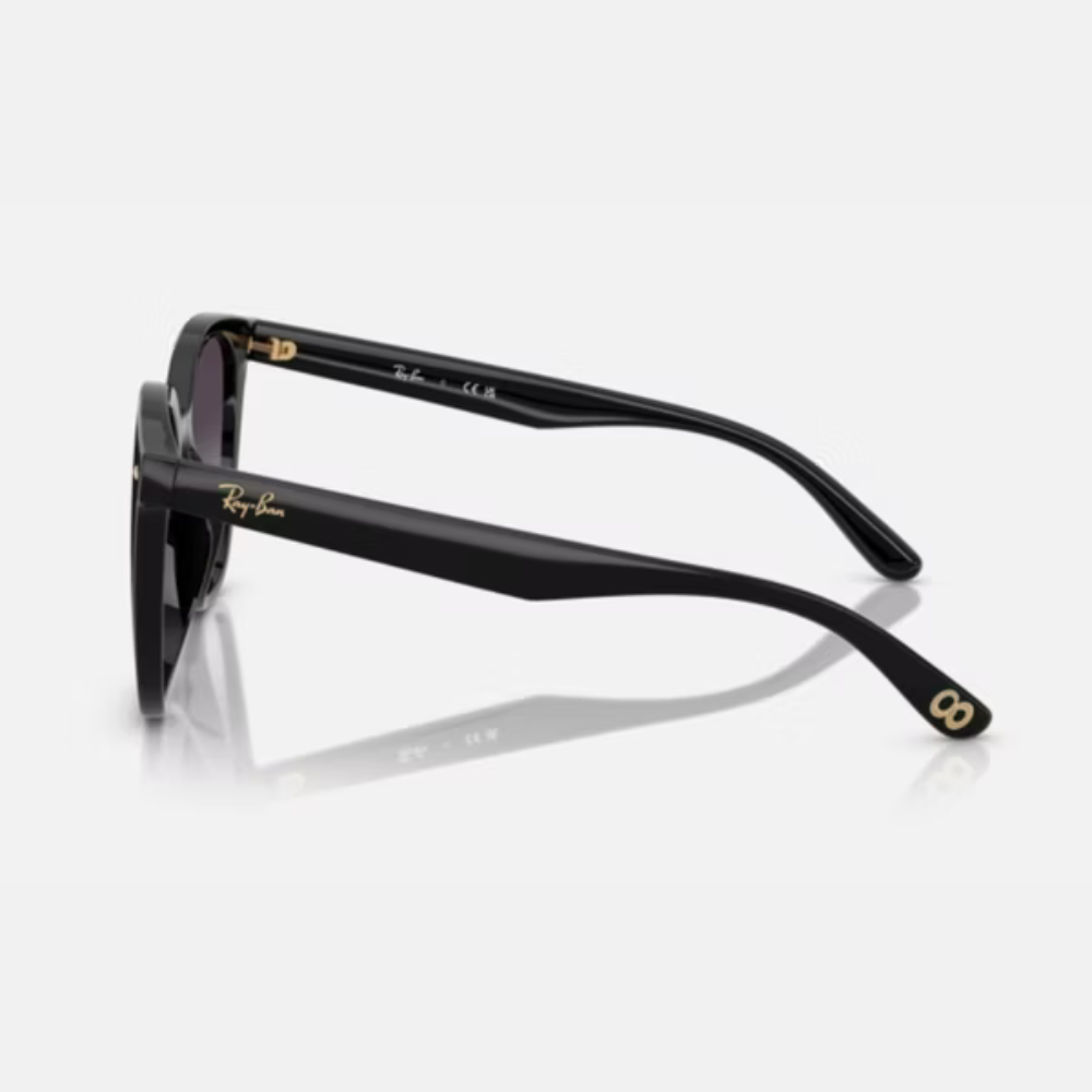 Ray-Ban 蛇年限定RB4423D