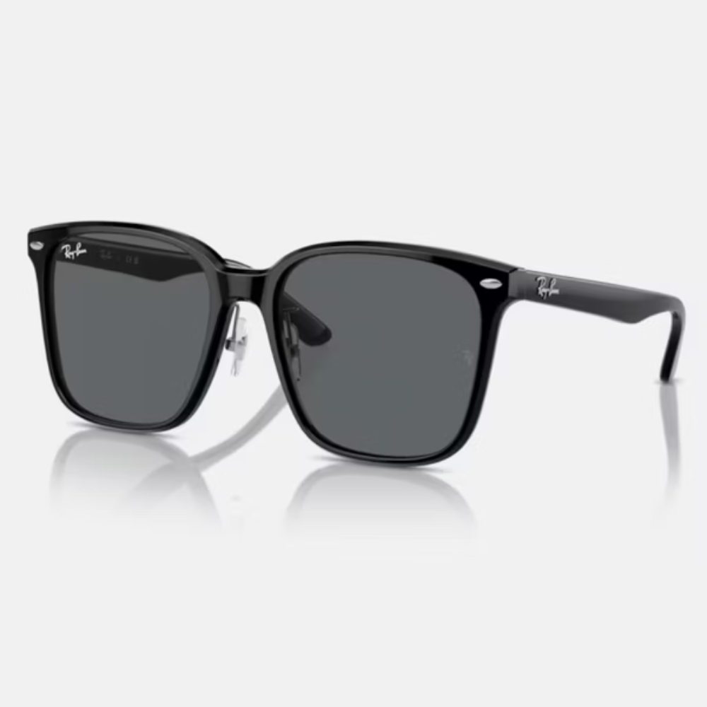 Ray-Ban RB2206D