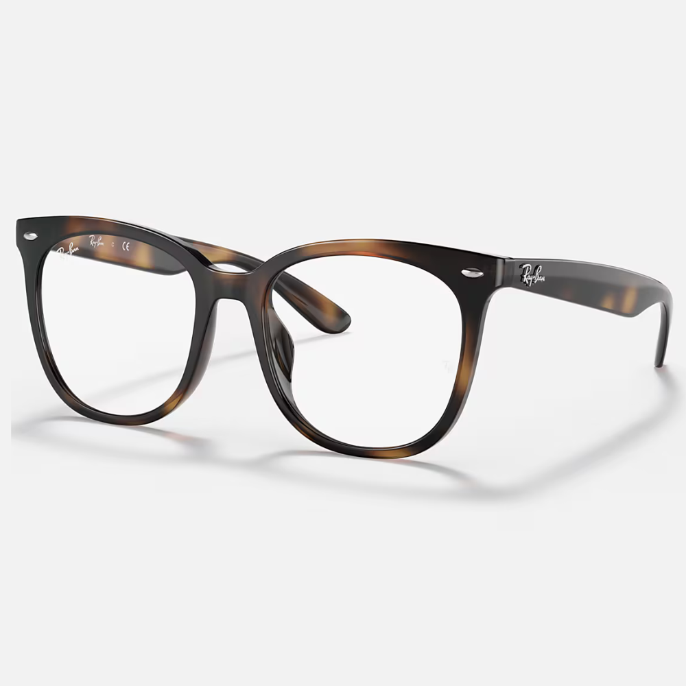 Ray-Ban RB4379VD 2012 53-19