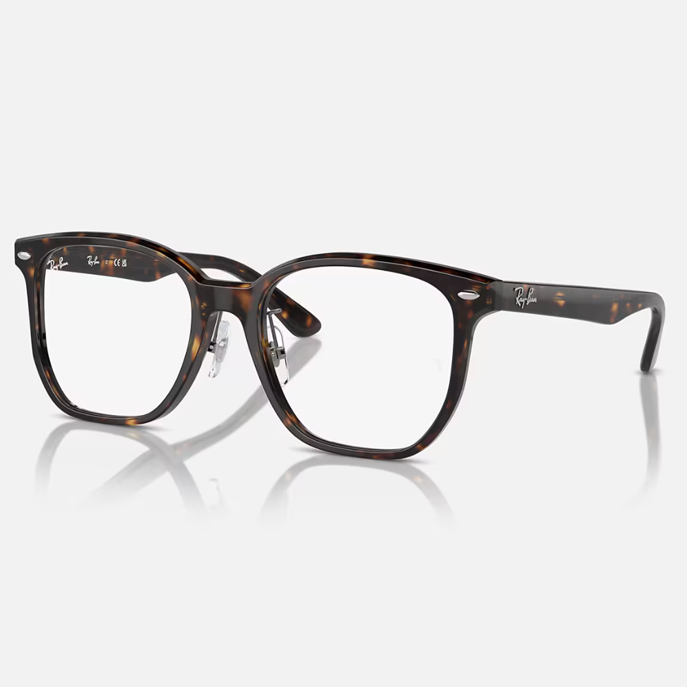 Ray-Ban RX5425D 2012 54-19