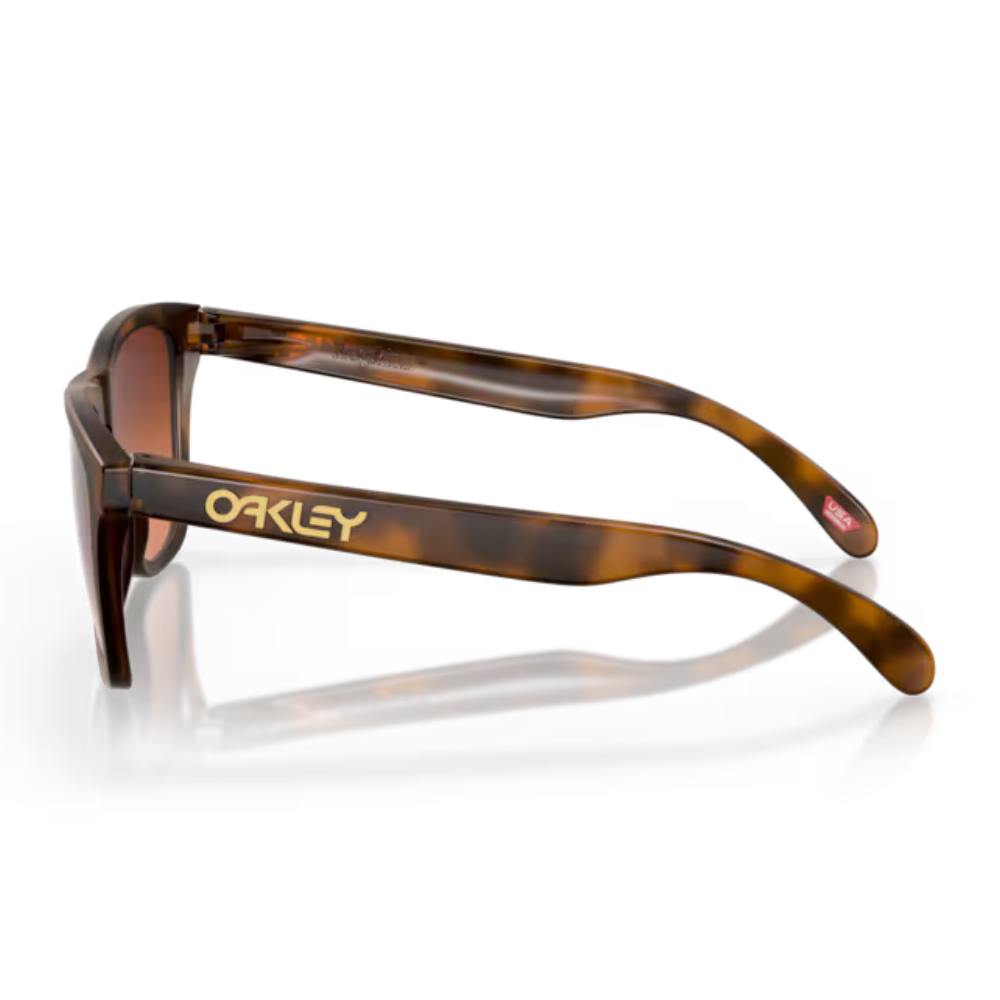 Oakley 0OO9245 9245D1 - Frogskins (a)