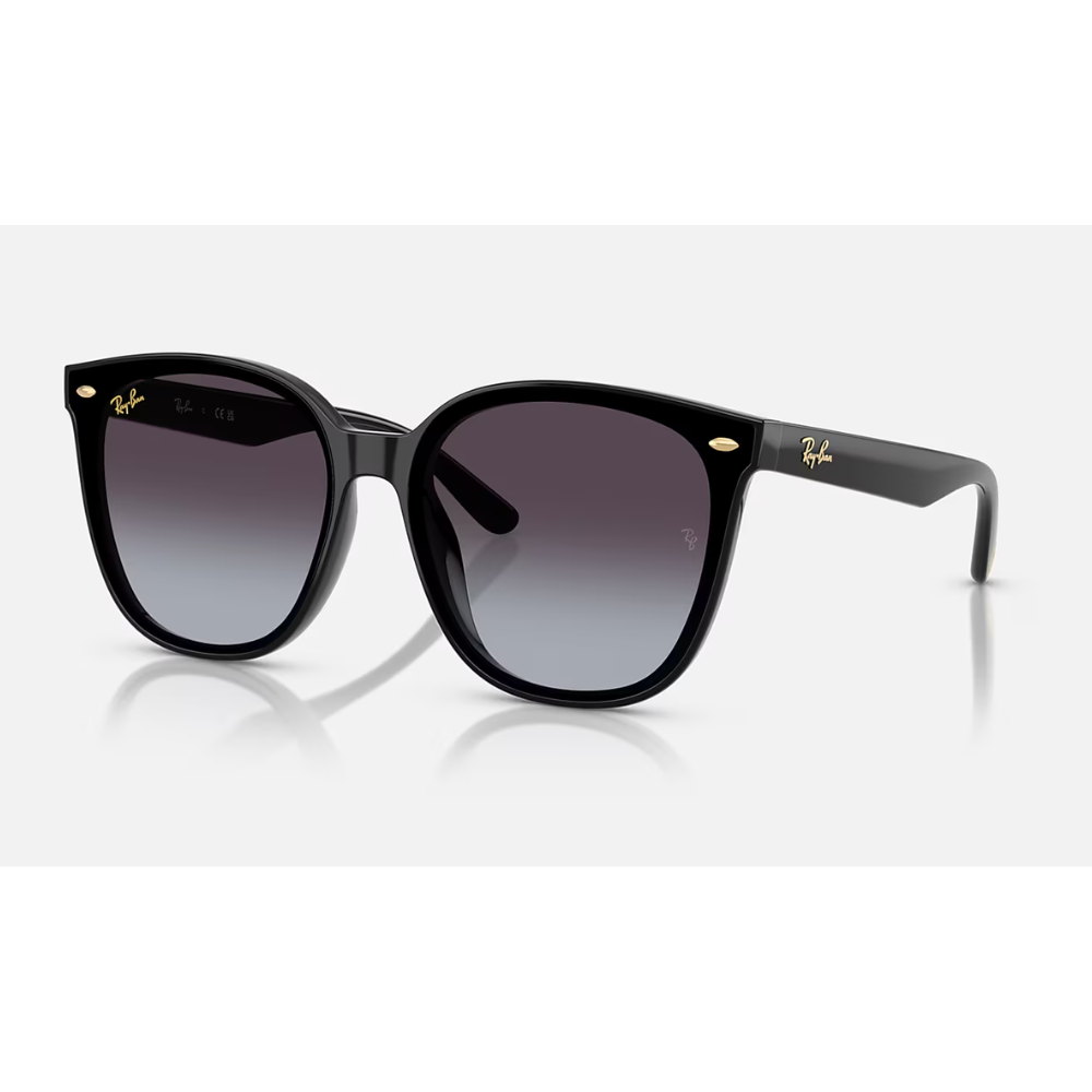 Ray-Ban RB4423D 蛇年版