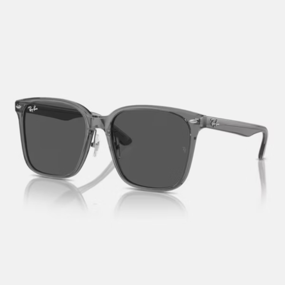 Ray-Ban RB2206D