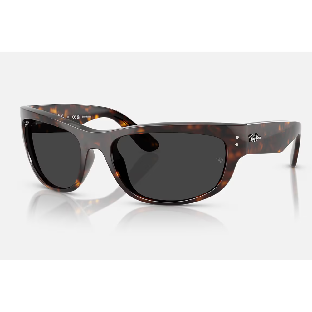 Ray-Ban RB2289 902/48 63-19 (P)