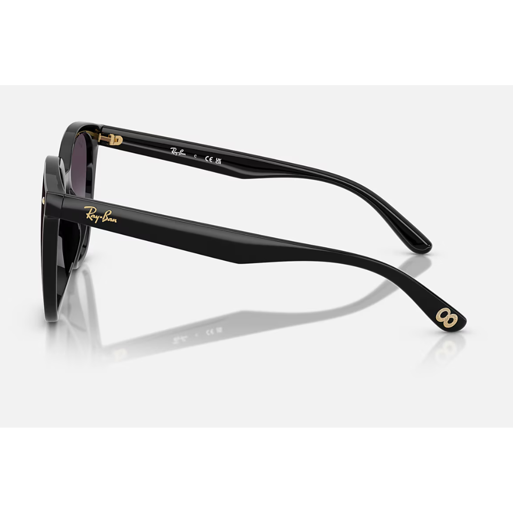 Ray-Ban RB4423D 蛇年版