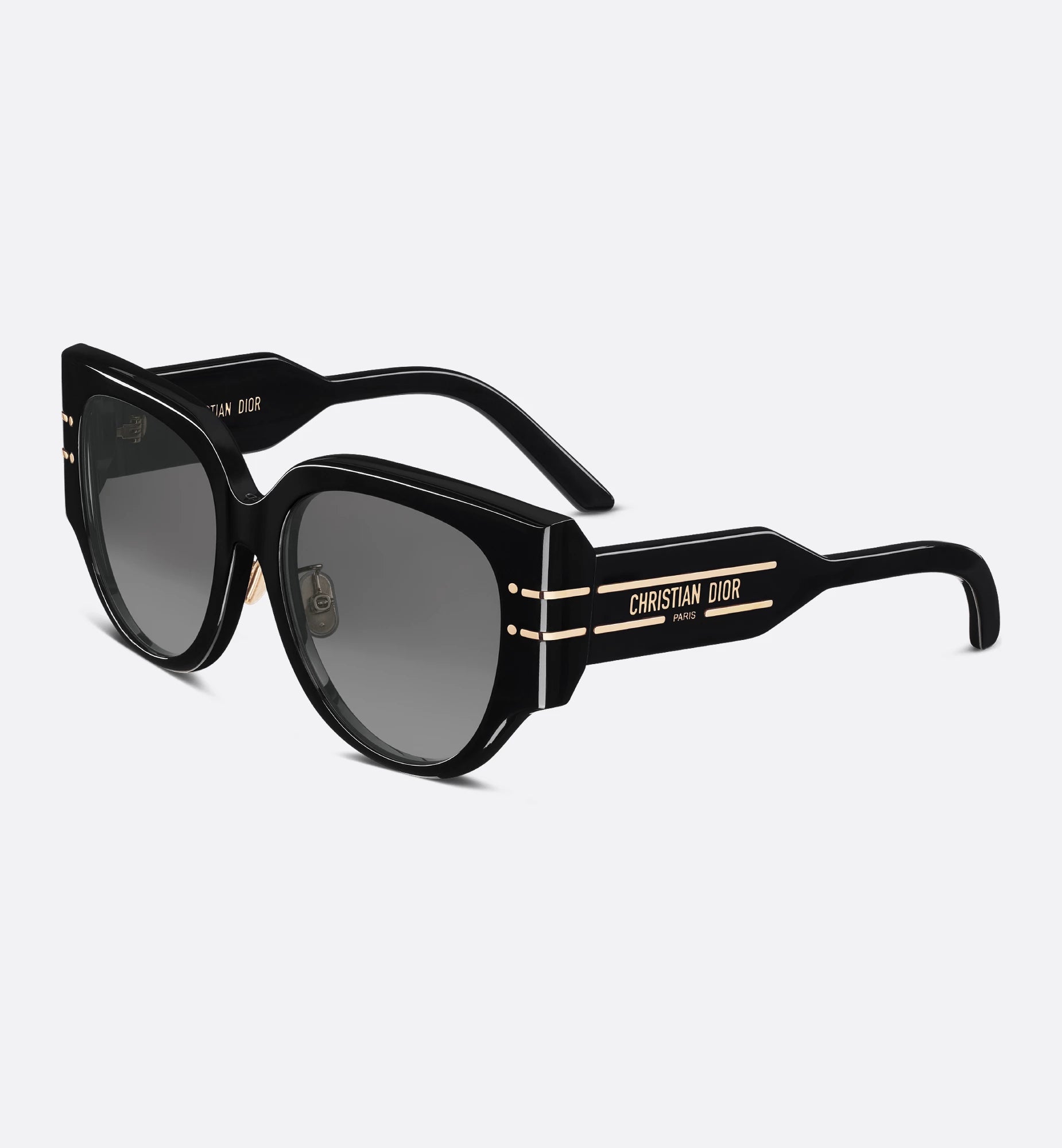 Dior Signature R2F